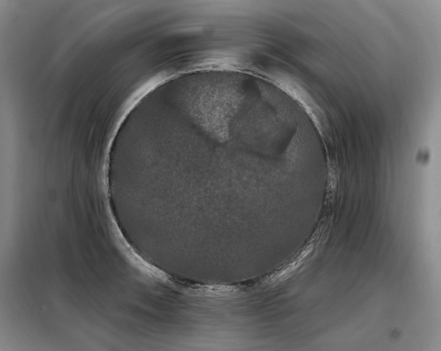X0000098131090200804171515