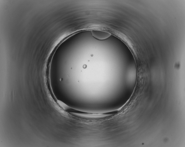 X0000098131091200804171515