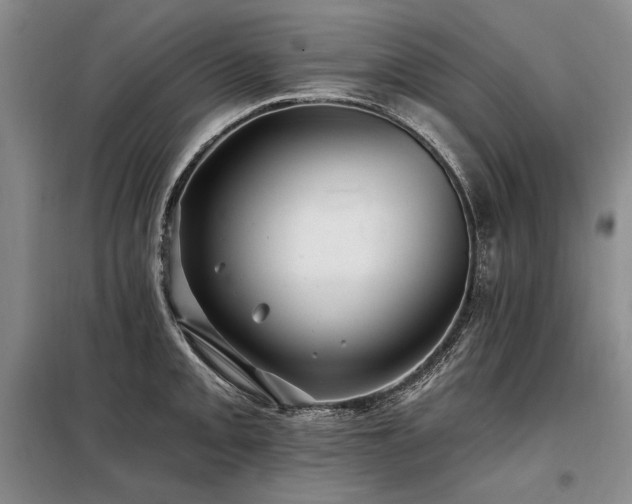 X0000098131093200804171515