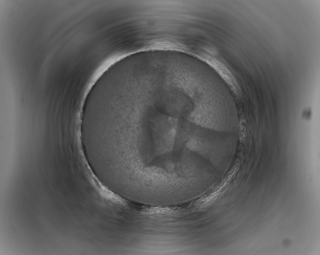 X0000098131094200804171515