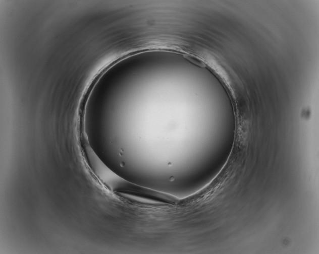 X0000098131096200804171515