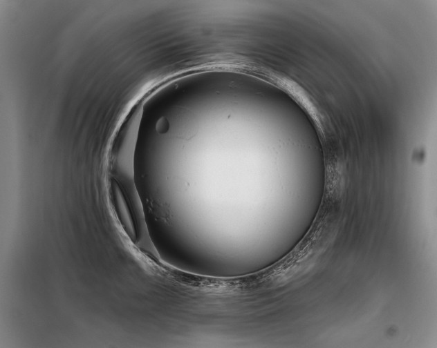 X0000098131099200804171515