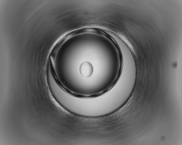 X0000098131100200804171515