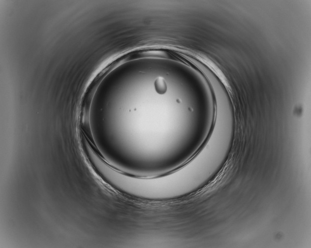 X0000098131101200804171515