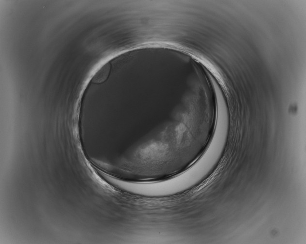 X0000098131102200804171515