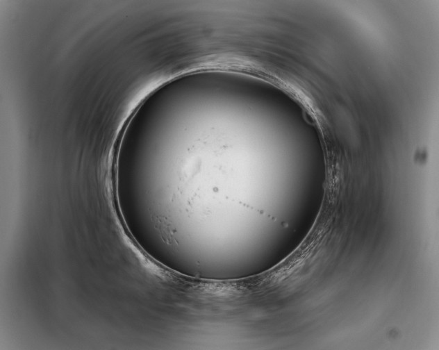 X0000098131103200804171515