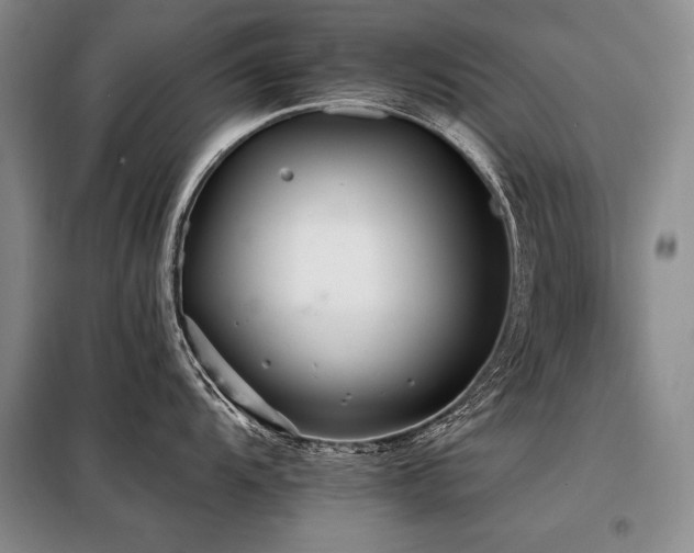 X0000098131104200804171515