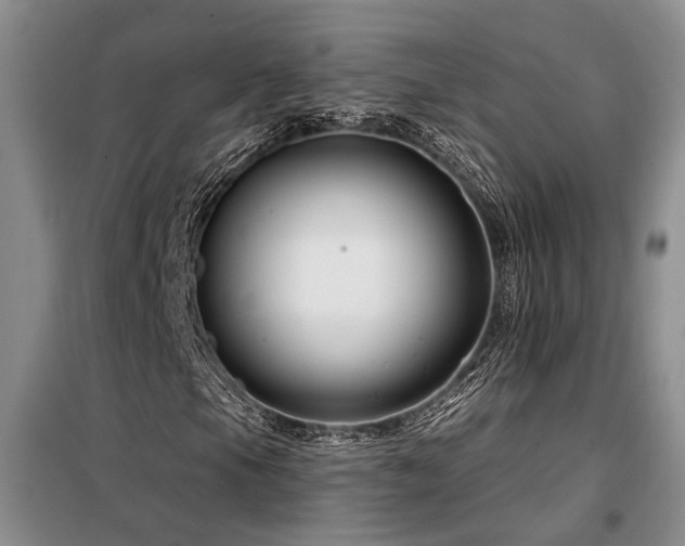 X0000098131105200804171514