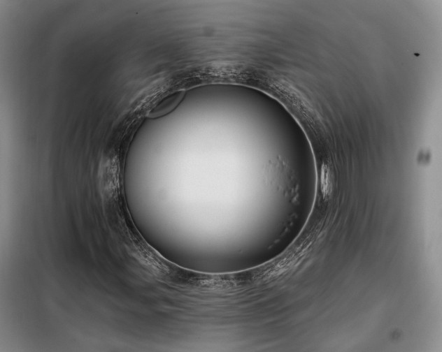 X0000098131107200804171514