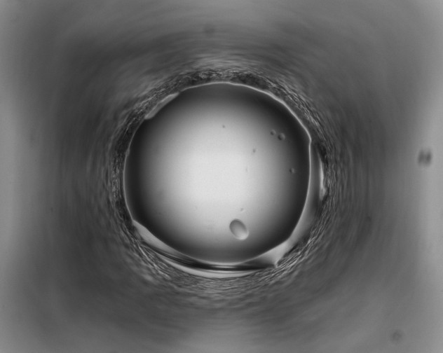 X0000098131109200804171514