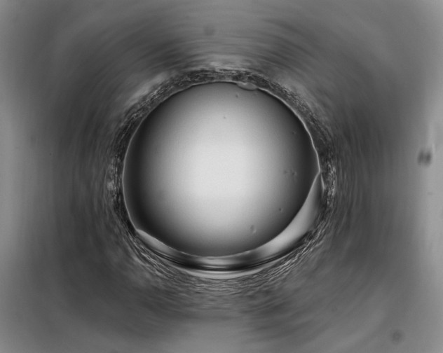 X0000098131110200804171514