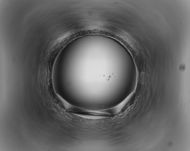 X0000098131111200804171514