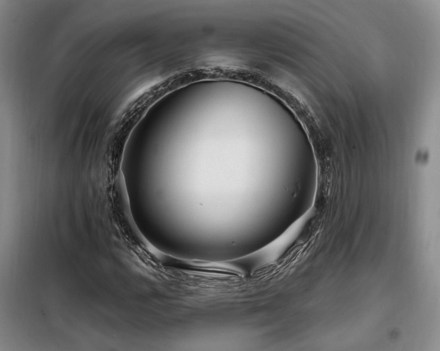 X0000098131112200804171514