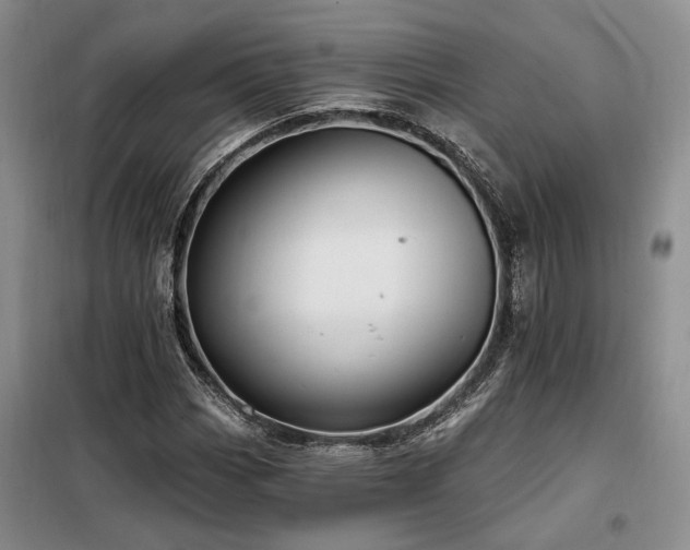 X0000098131113200804171514