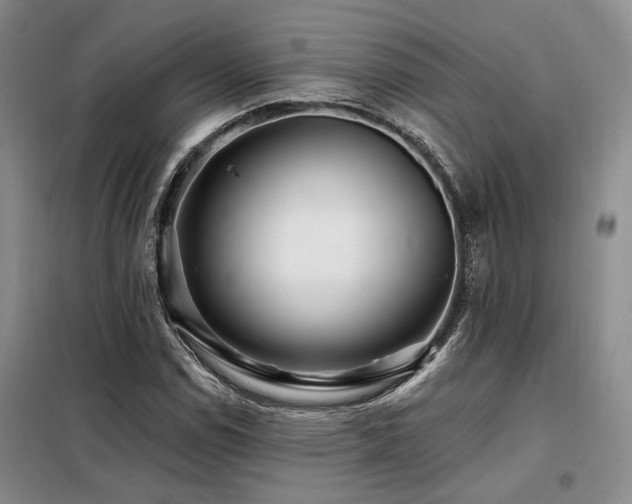 X0000098131114200804171514
