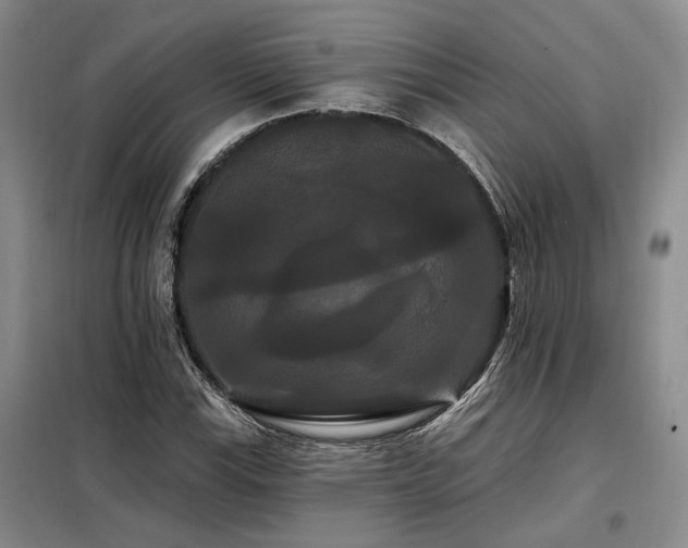 X0000098131115200804171514