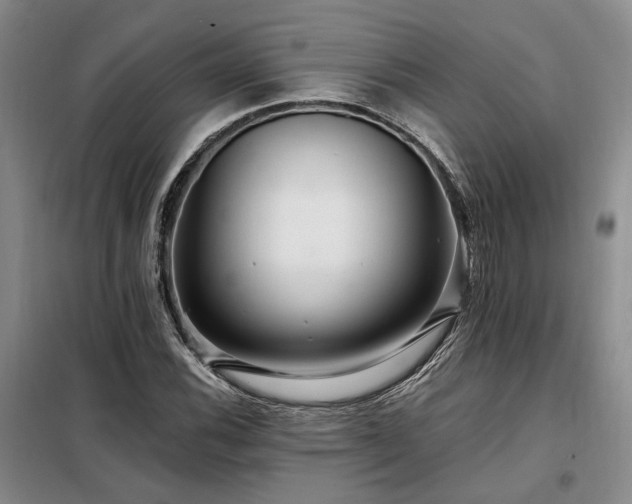 X0000098131116200804171514