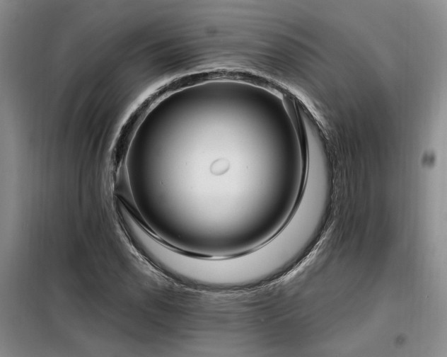 X0000098131118200804171514
