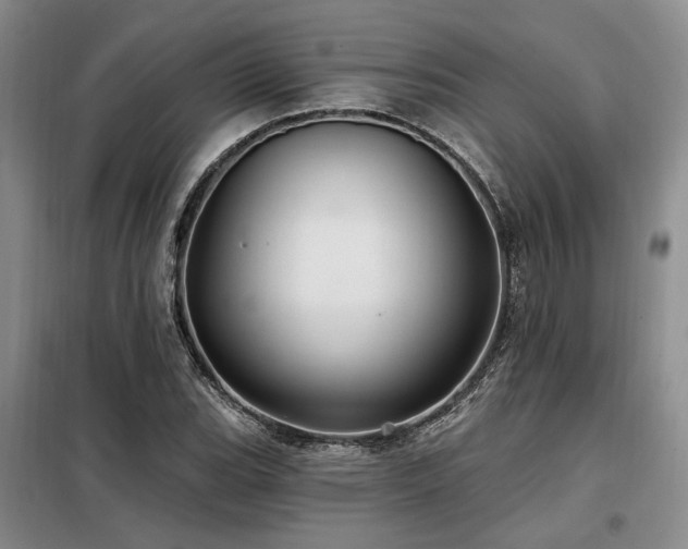 X0000098131119200804171514