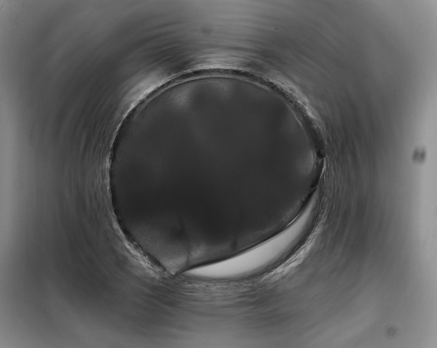 X0000098131121200804171514