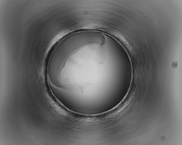 X0000098131122200804171514