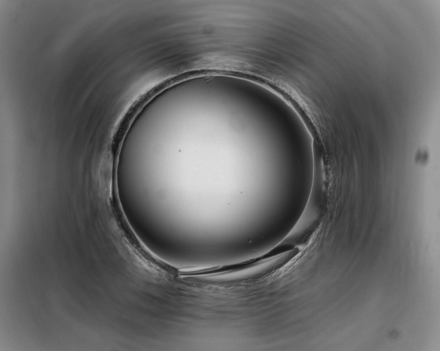 X0000098131123200804171514