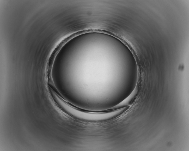 X0000098131124200804171514