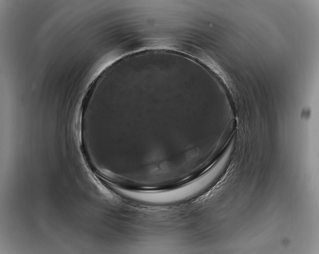 X0000098131127200804171514