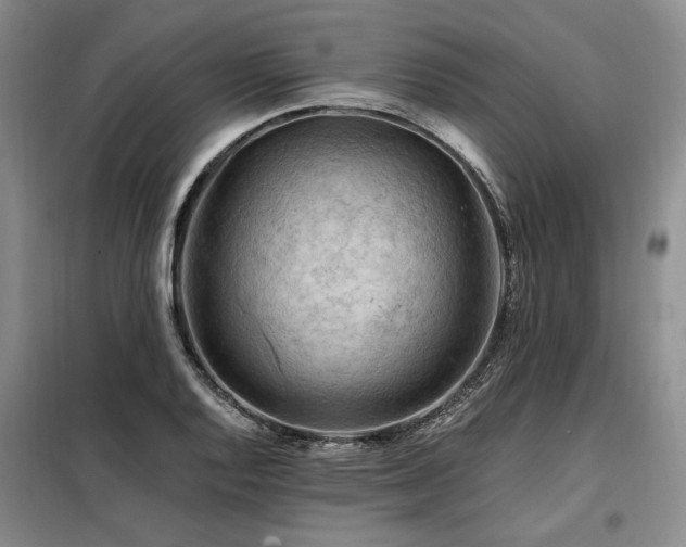 X0000098131128200804171514