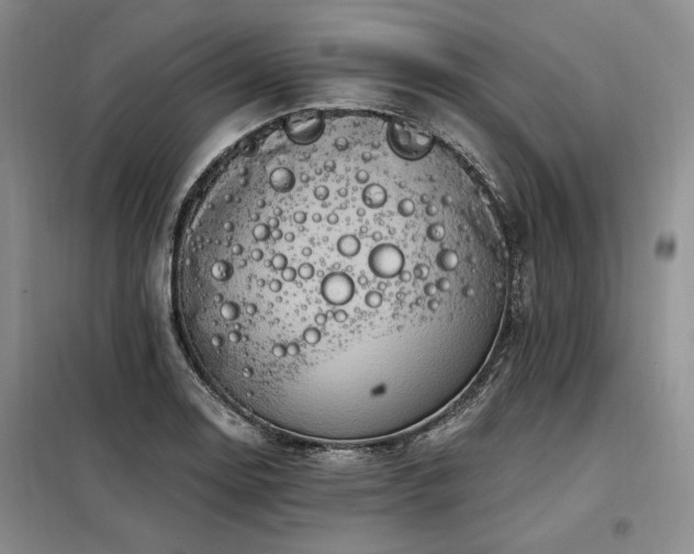 X0000098131130200804171514