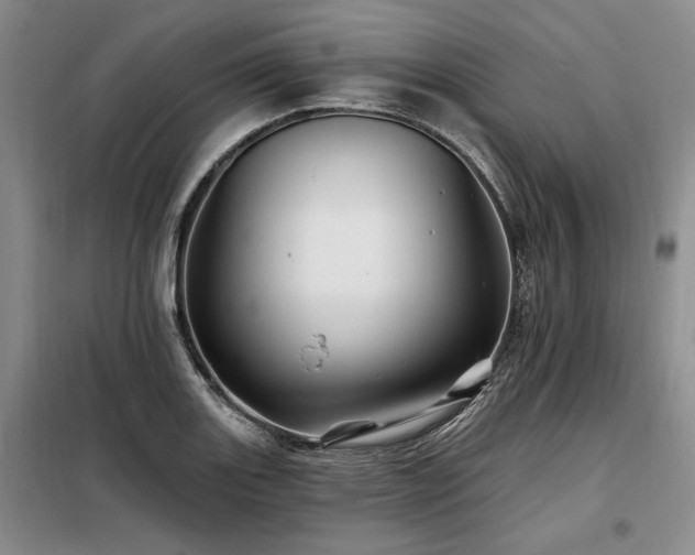X0000098131131200804171514