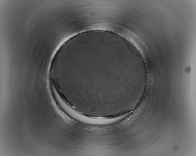 X0000098131132200804171514