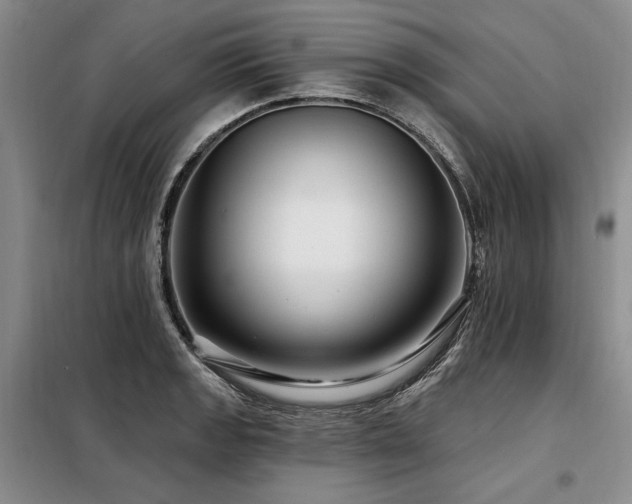 X0000098131133200804171514