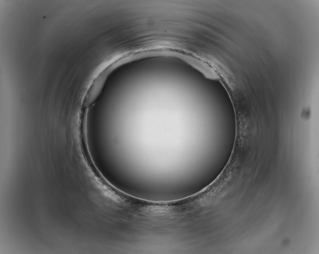 X0000098131134200804171514