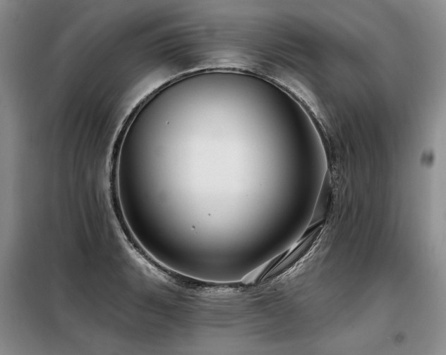 X0000098131135200804171514