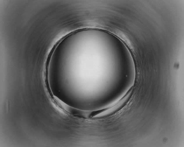 X0000098131136200804171514