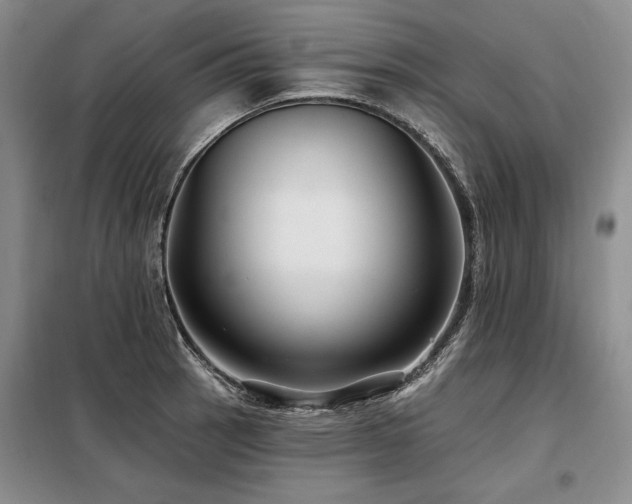 X0000098131137200804171514