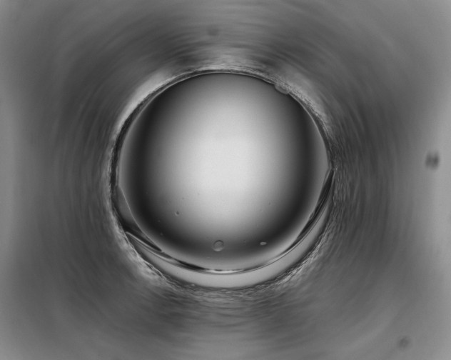 X0000098131138200804171514