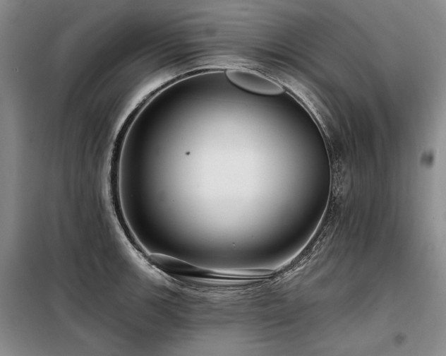 X0000098131139200804171514