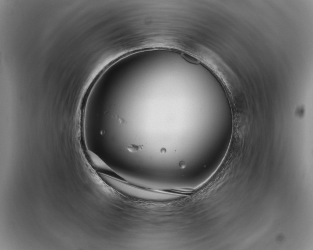 X0000098131140200804171514