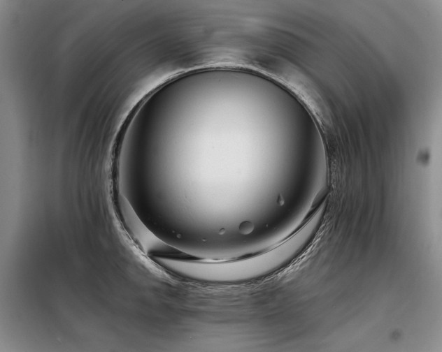 X0000098131142200804171514