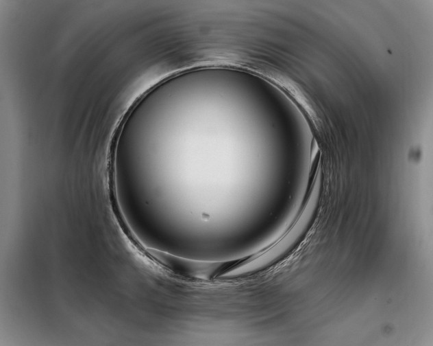 X0000098131143200804171514