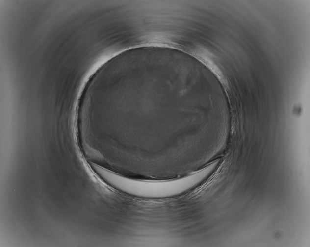 X0000098131144200804171515
