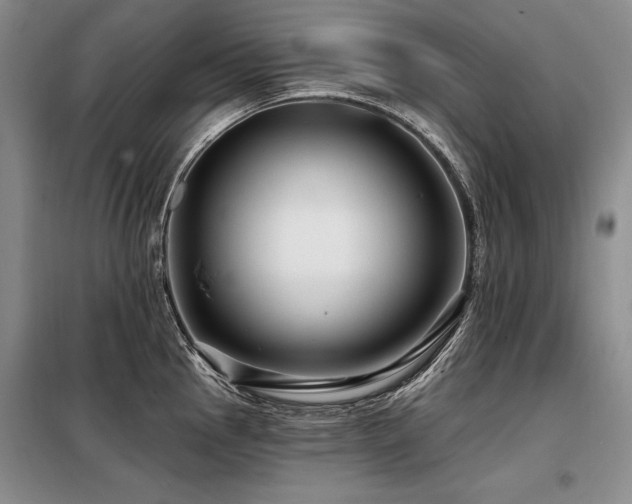 X0000098131145200804171515