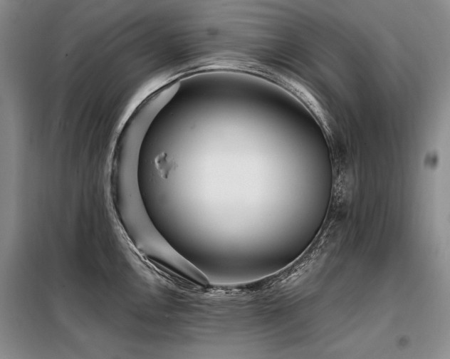 X0000098131146200804171515