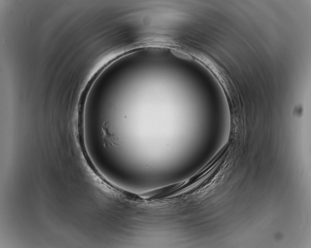 X0000098131147200804171515