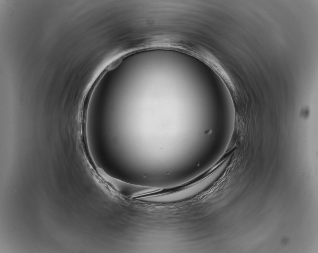 X0000098131148200804171515