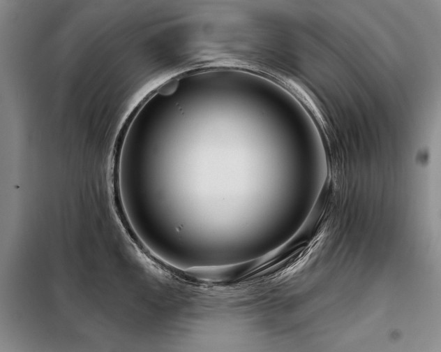 X0000098131149200804171515