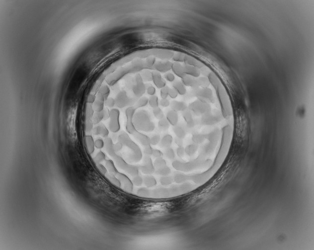X0000098131150200804171515