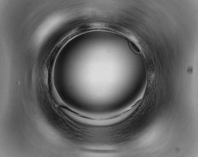X0000098131151200804171515
